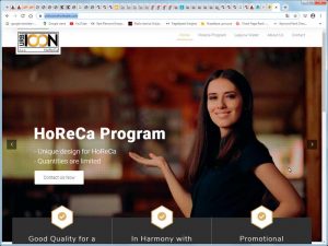 Fabrika Sajtova - profesionalna izrada sajtova - naš sajt Rubicon
